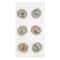 Bird Eggs in Nest Stickers by Recollections&#x2122;